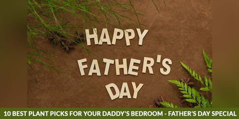 Father’s Day Special - 10 Best Plant Picks for Your Daddy’s Bedroom